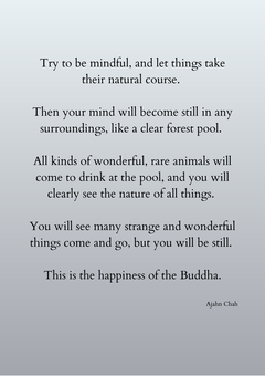 The happiness of the Buddha, a short instruction by Ajahn Chah

Try to be mindful, and let things take their natural course. 
Then your mind will become still in any surroundings, like a clear forest pool. 
All kinds of wonderful, rare animals will come to drink at the pool, and you will clearly see the nature of all things. 
You will see many strange and wonderful things come and go, but you will be still. 
This is the happiness of the Buddha.